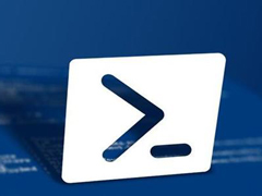 ΢ܛųPowerShell 7.0l(f)x