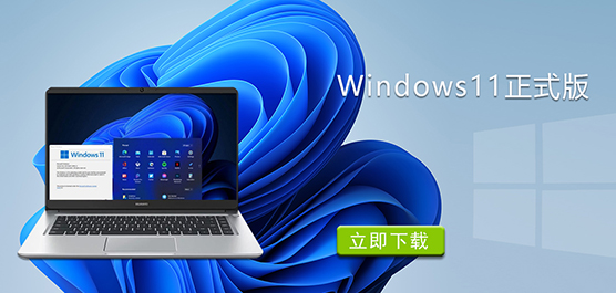 Windows11ʽd