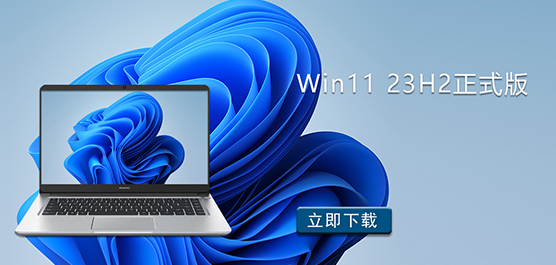 Win11 23H2ʽd