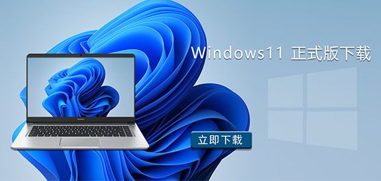 Windows11 ʽd