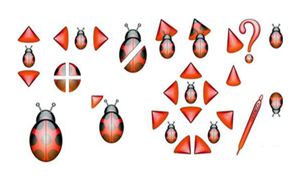 Ladybug(bio)ָ