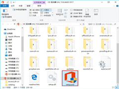 (j)Win10officeòôkNQ