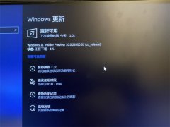 ڲϗlO(sh)ϽWindows 11汾£