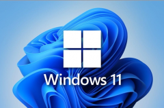 ΢ܛWindows 11 Build 22000.100(li)(־dַ)