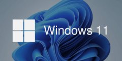 ΢ܛϣ(j)Windows 11