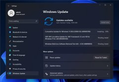 Cumulative Update for Windows11(10.0.22000.132)(KB5005190)ʧôk