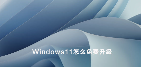 Windows11ôM(fi)(j)