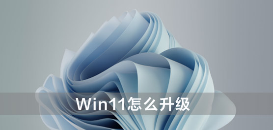 Win11ô(j)