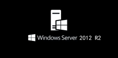 ΢ܛl(f)Windows Server 2012 R2 KB5008603a(b)