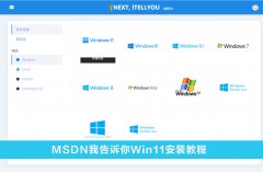 MSDNҸVWin11°汾 MSDNҸVWin11b̳