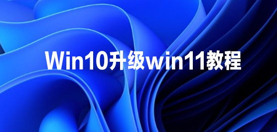 win10(j)win11̳