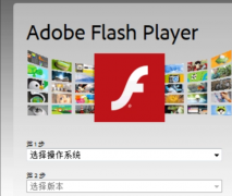 adobe flash playerʲô?adobe flash playerʲôã