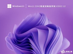 2022Win11 22H2Oϵy(tng)dO½z