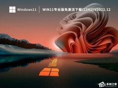 Win11ȫϵy(tng)22H2I(y)Rd(ü)