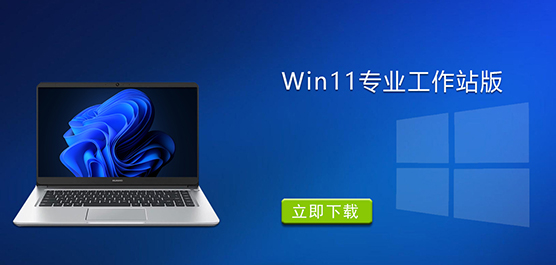 Win11I(y)վd