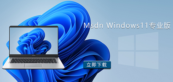 Msdn Windows11I(y)d