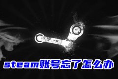 Steam~̖(ho)ôkSteam~̖(ho)һصķ