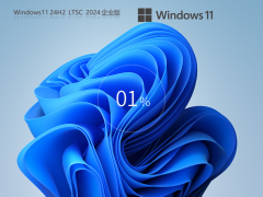 Windows11 24H2 LTSC 2024 I(y)