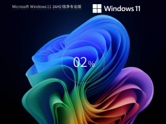 Windows11 24H2 􌣘I(y)ISOR